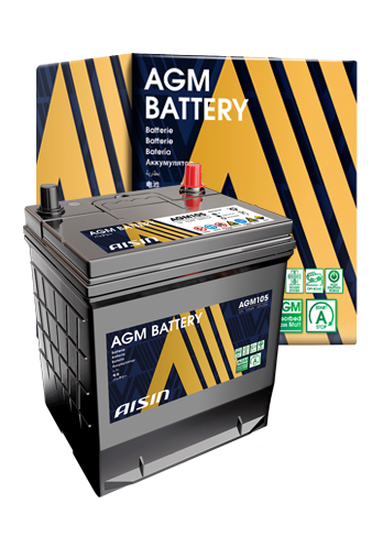 Automotive Battery